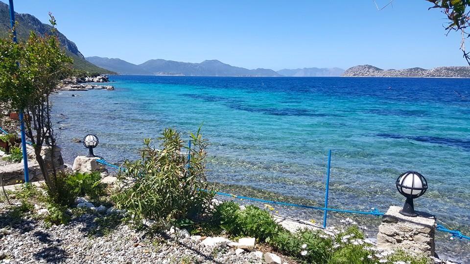 Mavi Akvaryum Pension Sogut (Aegean) Exterior foto