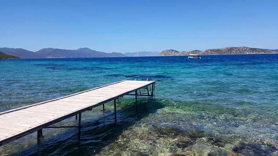 Mavi Akvaryum Pension Sogut (Aegean) Exterior foto