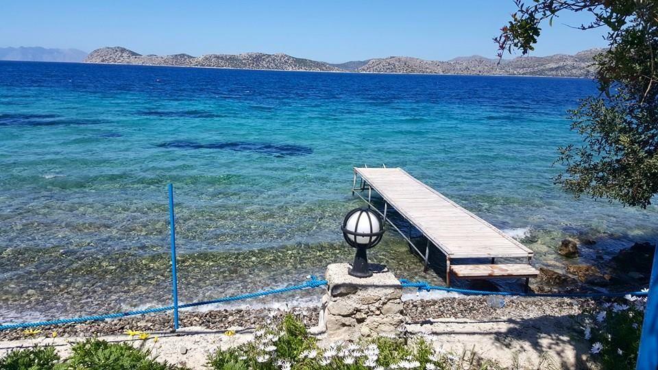 Mavi Akvaryum Pension Sogut (Aegean) Exterior foto