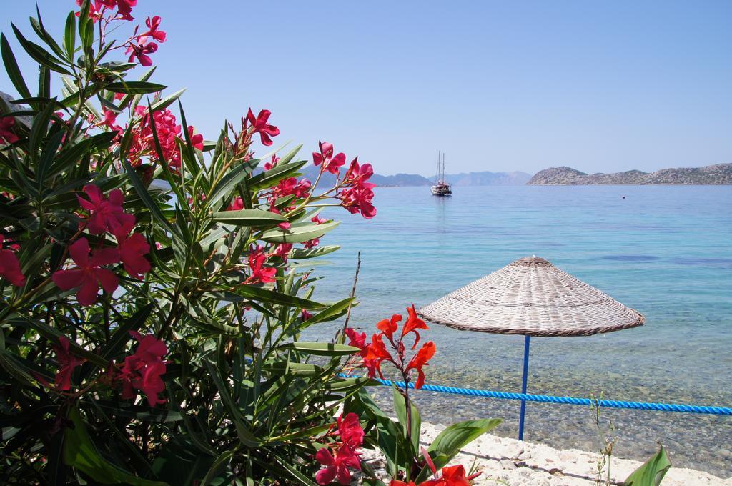 Mavi Akvaryum Pension Sogut (Aegean) Exterior foto