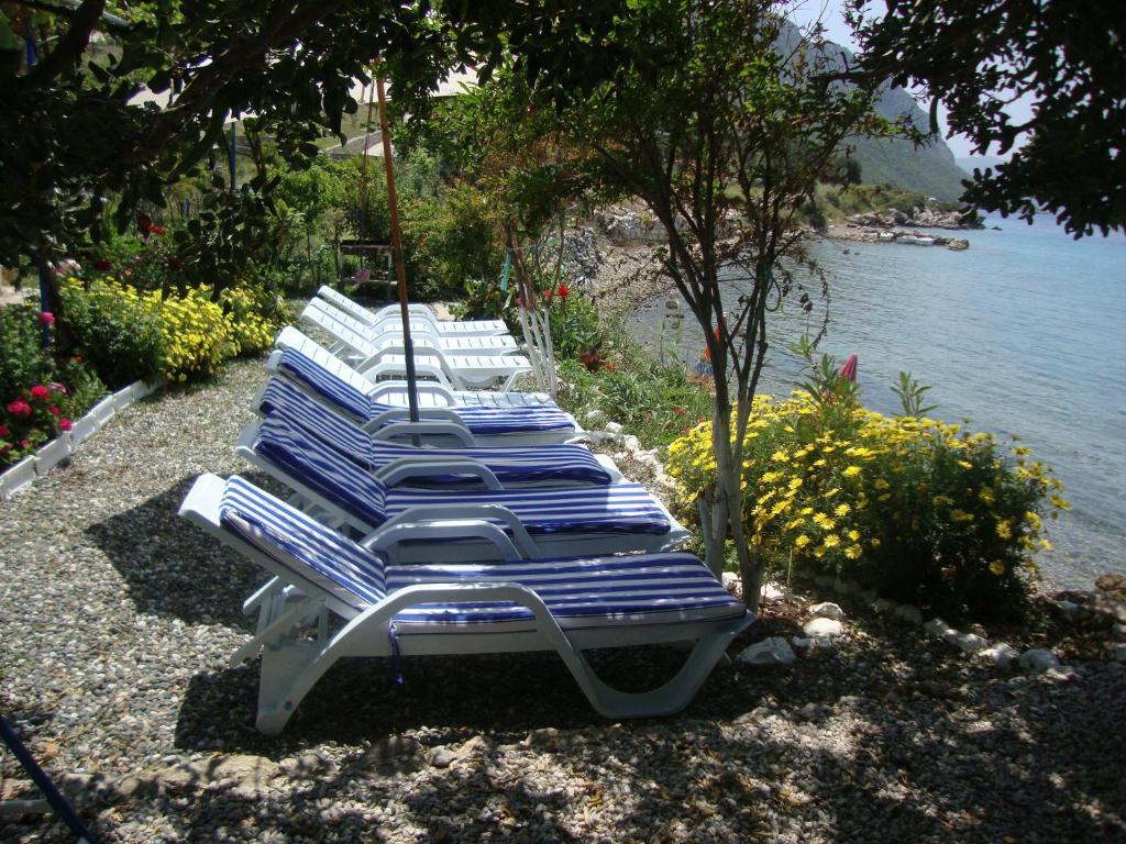 Mavi Akvaryum Pension Sogut (Aegean) Exterior foto