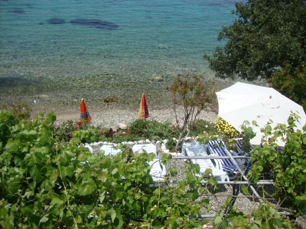 Mavi Akvaryum Pension Sogut (Aegean) Exterior foto