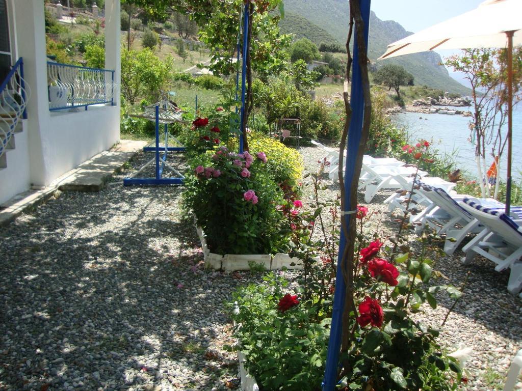 Mavi Akvaryum Pension Sogut (Aegean) Exterior foto