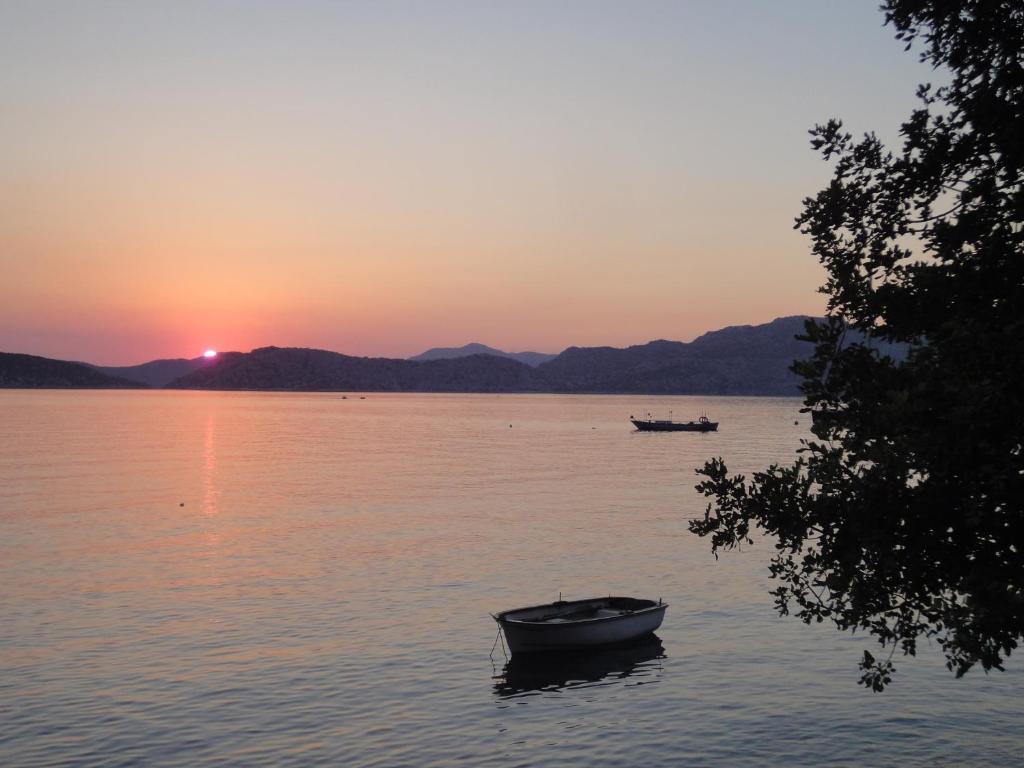 Mavi Akvaryum Pension Sogut (Aegean) Exterior foto