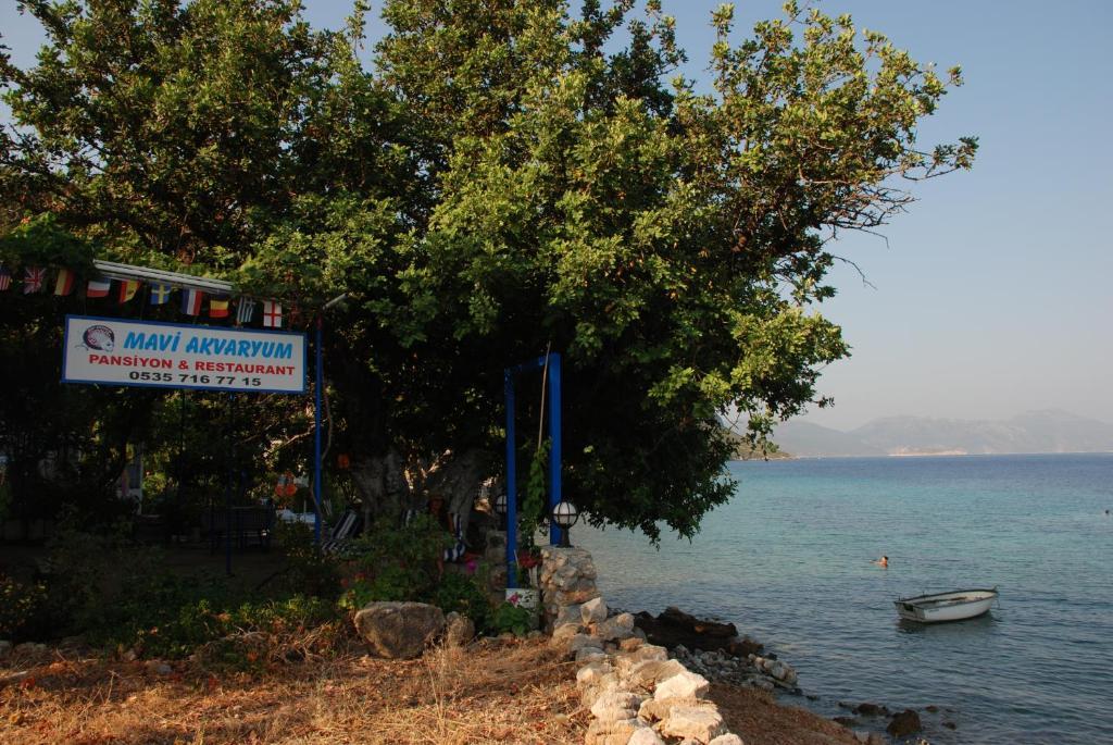 Mavi Akvaryum Pension Sogut (Aegean) Exterior foto